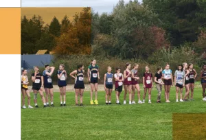 A field of runners in a line
