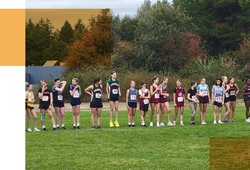 A field of runners in a line